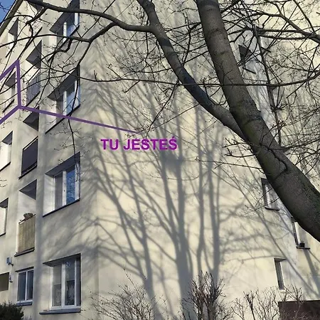 Apartmán In The Center Of *